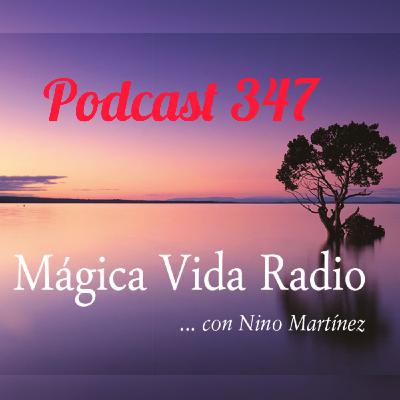 MV 347. Ramiro Calle. "Los afectos. Como aprender a manejarlos". MV 347. Ramiro Calle. "Los afectos. Como aprender a manejarlos".