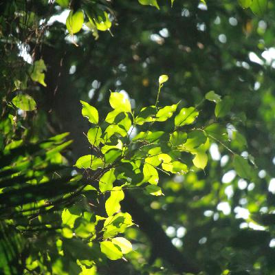 浮生命稿丨“来世你投胎在了哪？”