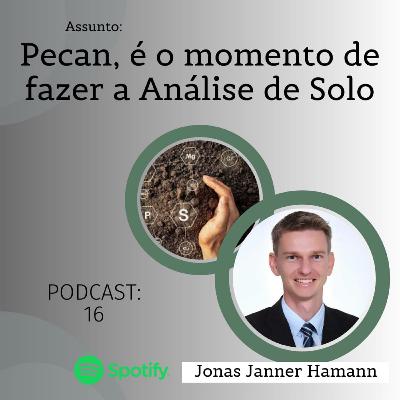 16 – Pecan, É o momento de fazer a Análise de Solo