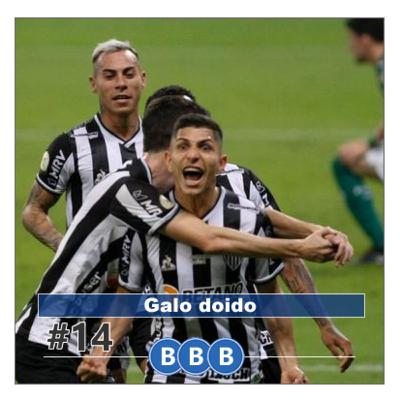 #14 - Galo doido
