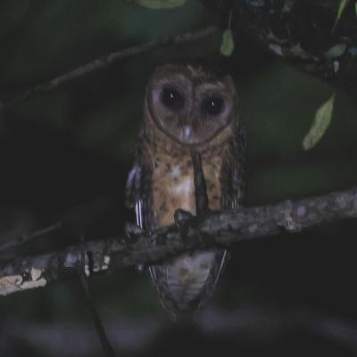 S6E19: New Britain with Charley & Ken S6E19: New Britain with Charley & Ken