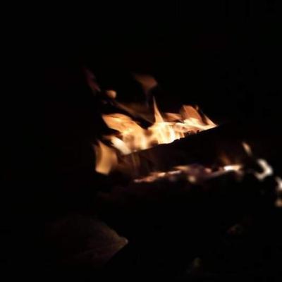 Acciones y reacciones ¡Un caos! Acciones y reacciones ¡Un caos!