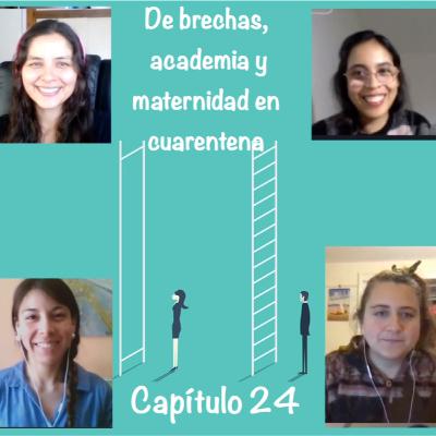 Capítulo 24 De brechas, academia y maternidad en cuarentena