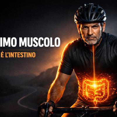 La cascata ormonale del ciclista over 45: da intestino a testosterone (estratto webinar)