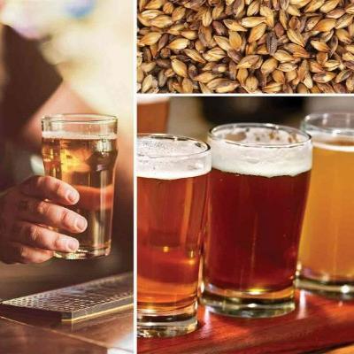 The Science of Beer