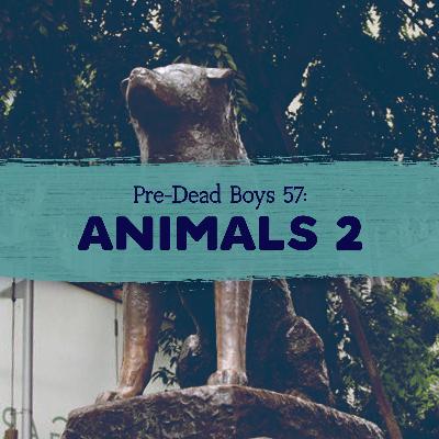 57: Animals 2