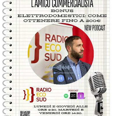 L'amico commercialista 25 puntata