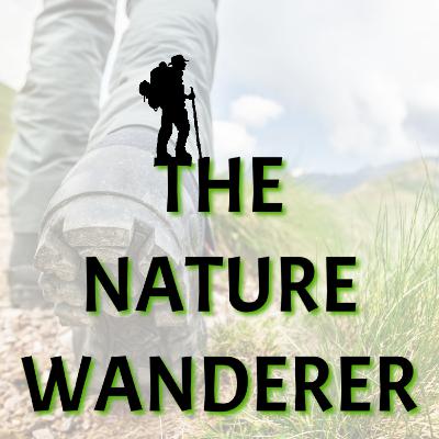 Healing With Nature