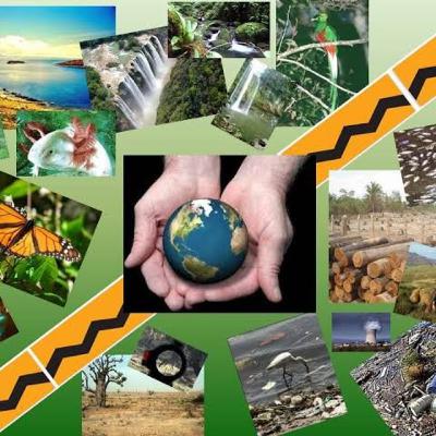Prevención y el cuidado integral de la salud y del ambiente.