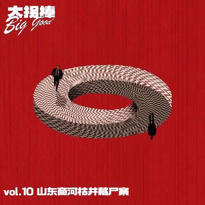 vol.10 花圈店老板的双重身份,莫比乌斯环式凶杀案:山东商河枯井藏尸案 vol.10 花圈店老板的双重身份,莫比乌斯环式凶杀案:山东商河枯井藏尸案