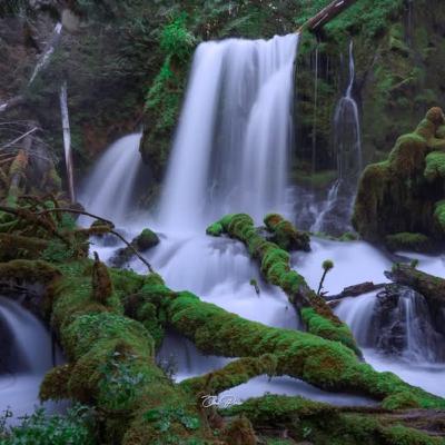 The Natural State Meditation ~ Samaneri Jayasara