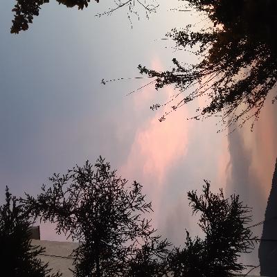 "El Podcast" con Marisol