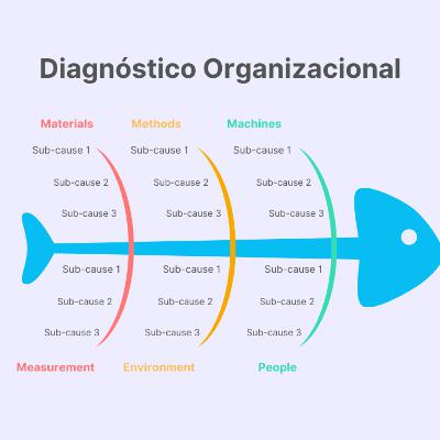 Proceso del diagnóstico organizacional en las empresas