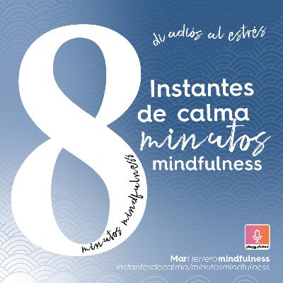 Ocho minutos de mindfulness para despertar a la conciencia y reducir el estrés