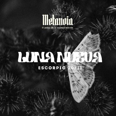 Luna Nueva en Escorpio (20/11)