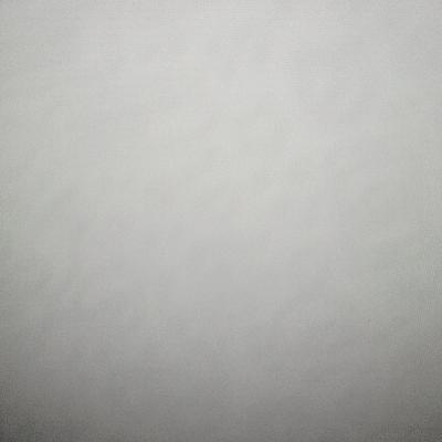 Nikol Rivera/10-2/cuentos del encierro