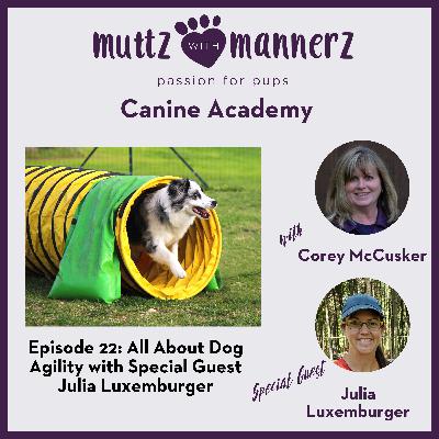 All About Dog Agility with Special Guest Julia Luxemburger