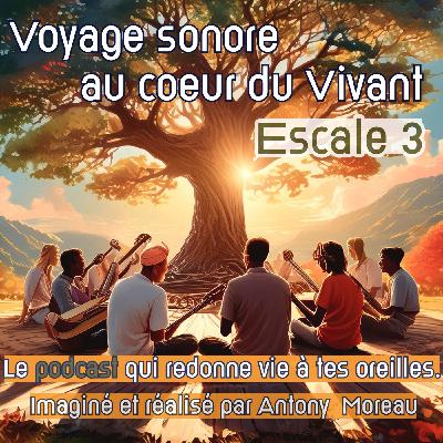 Escale 3 - Un après-midi d'orage au Printemps - Voyage sonore au cœur du Vivant