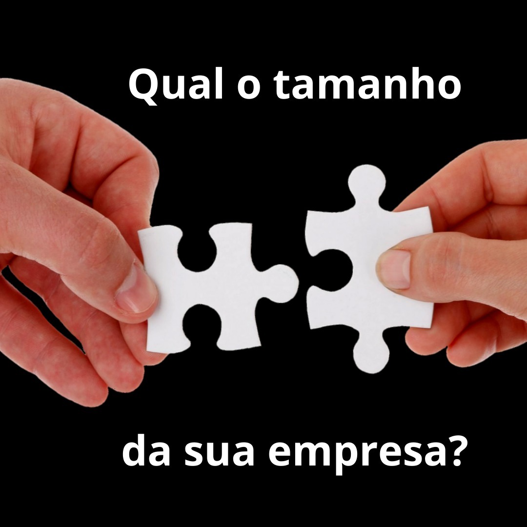 Qual o tamanho da sua empresa episode artwork