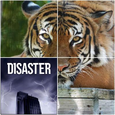 28: Tiger