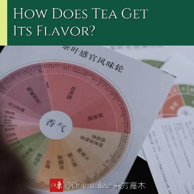 How Does Tea Get Its Flavor? The Invisible Craft Behind the Aroma in Your Cup