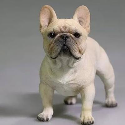 They are adorable, quirky, and fun, but know what you are getting into when you commit to purchasing a French Bulldog