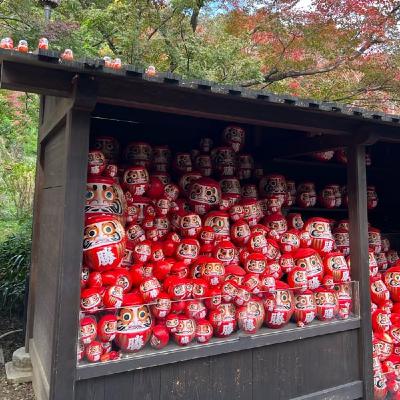 勝尾寺トークと「愛は勝つ」ウクレレソロ 勝尾寺トークと「愛は勝つ」ウクレレソロ