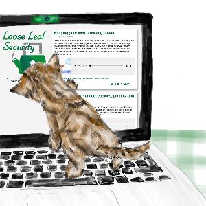 Security stories: lost phones, a compromised computer, and an unexpected keyboard cat