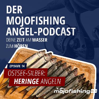 Ostsee-Silber: Heringe Angeln