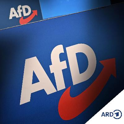 AfD vorerst nicht "gesichert rechtsextremistisch"