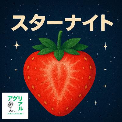 第45回　スターナイト　の魅力