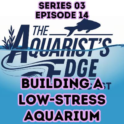 How to Build a Low-Stress Aquarium: A Stable, Low-Maintenance Freshwater Setup for Busy Fishkeepers How to Build a Low-Stress Aquarium: A Stable, Low-Maintenance Freshwater Setup for Busy Fishkeepers