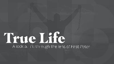True Life - Humble Life