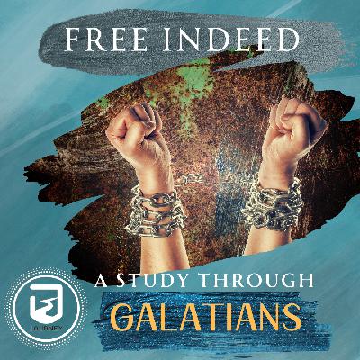 Free People, Free People Free People, Free People