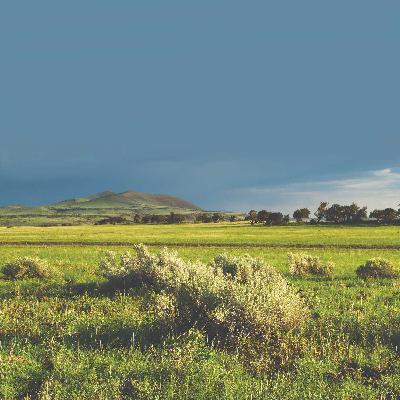 Wet Winter Changes Drought Outlook Wet Winter Changes Drought Outlook