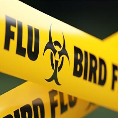 Wildlife Matters Investigates - Avian Influenza