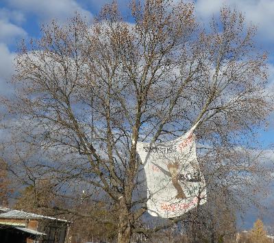 Zukunftsfähige Stadtentwicklung statt alter Pläne!