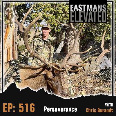 Episode 516:  Perseverance With Chris Burandt