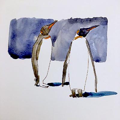 Chère Banquise
