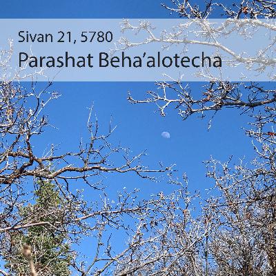 AE: Torah for the Earth - Beha’alotecha AE: Torah for the Earth - Beha’alotecha