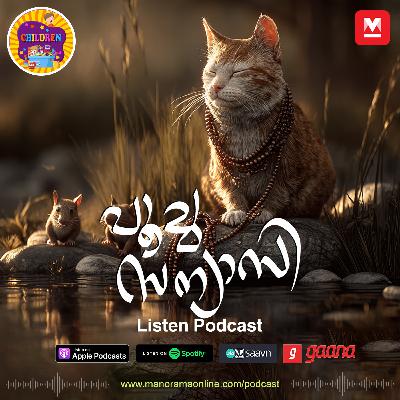 പൂച്ച സന്യാസി - MKid | Children Podcast പൂച്ച സന്യാസി - MKid | Children Podcast