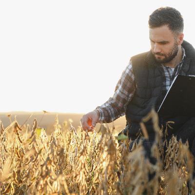 Shutdown Slowed Soybean Research
