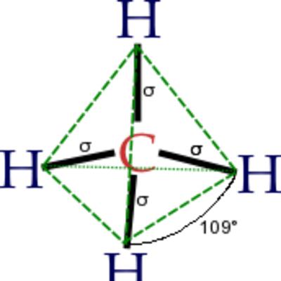 IB 2.1 Molecules to metabolism