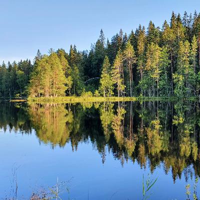 Summer day on the shore