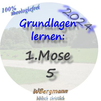 Grundlagen lernen: Genesis 5 #89
