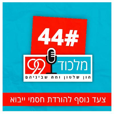 פרק 44 // צעד נוסף להורדת חסמי ייבוא