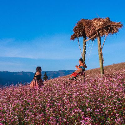 Bản tin vùng Đông Bắc ngày 18/11/2024