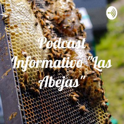 Podcast Informativo las abejas Podcast Informativo las abejas