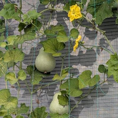 『話半分で👍🏻』 #1522  ‘25,10,21 新月 国際反戦デー 『話半分で👍🏻』 #1522  ‘25,10,21 新月 国際反戦デー