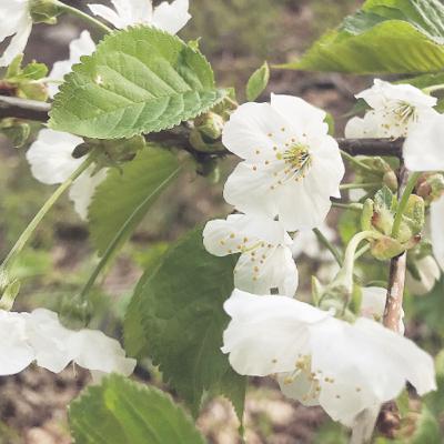 2 minuter avslappning